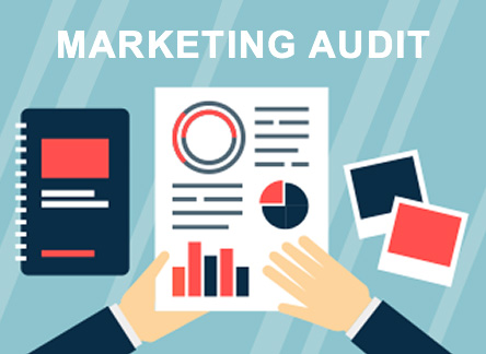 Marketing Audit