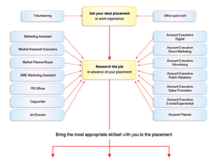 Placement/Work experience